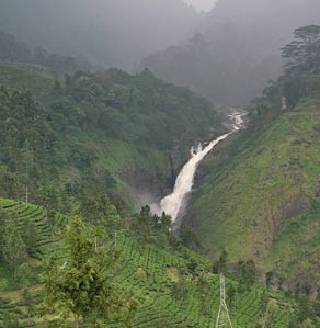 Punnamada-lake